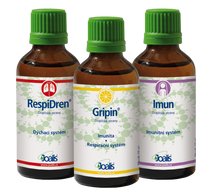 kúra – průdušky